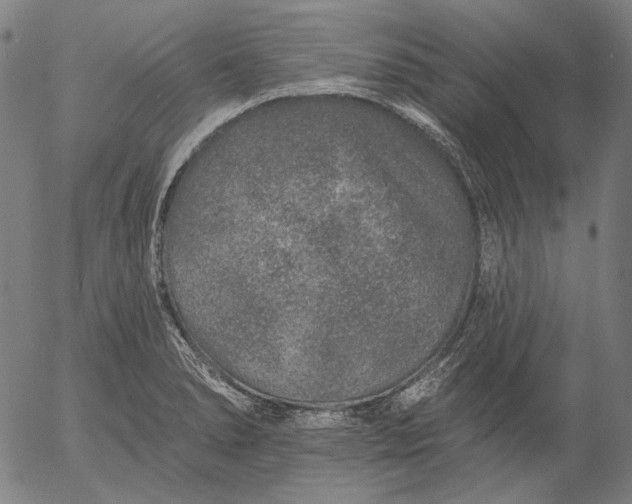 X0000055991278200509021629