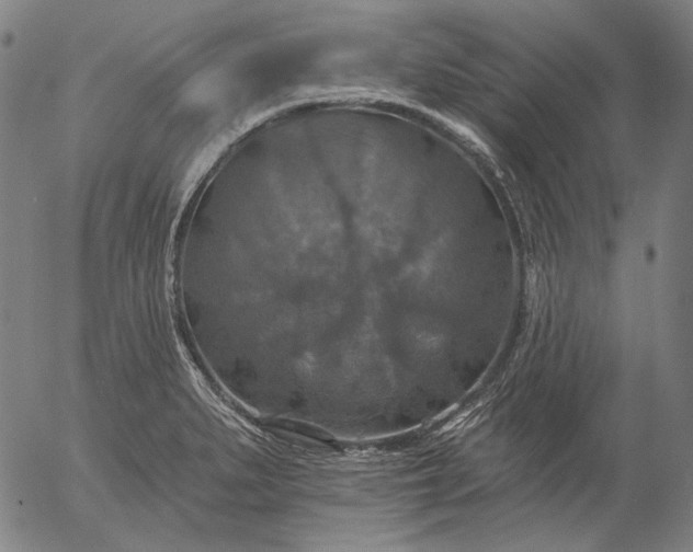 X0000055991279200509021629