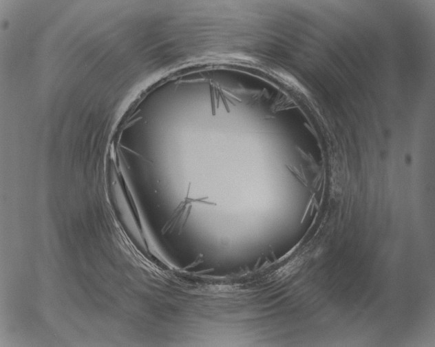 X0000055991280200509021629