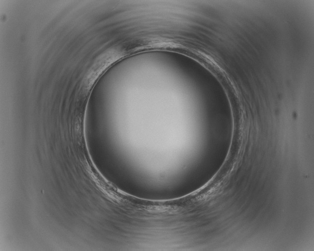 X0000055991281200509021629