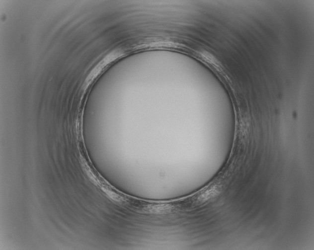 X0000055991282200509021629