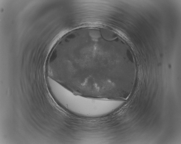 X0000055991283200509021629