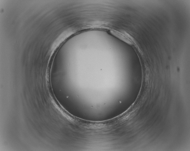 X0000055991285200509021629