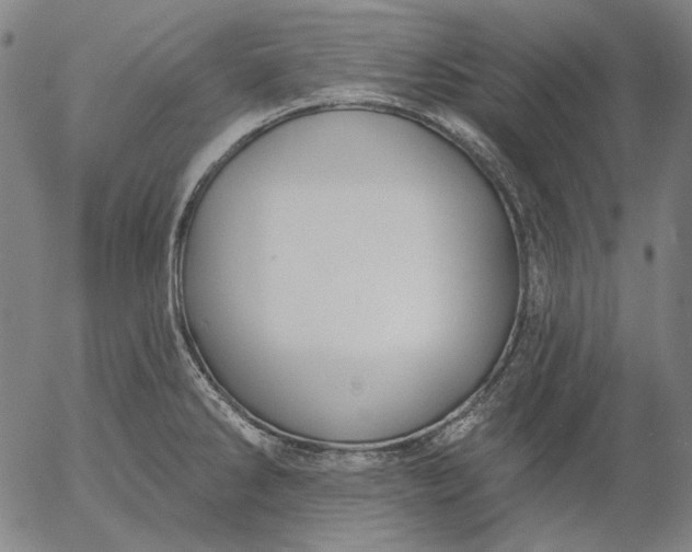 X0000055991286200509021629