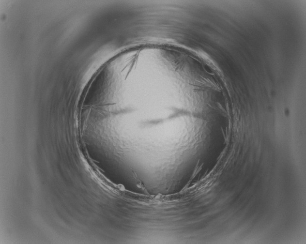 X0000055991287200509021629