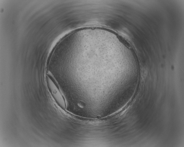 X0000055991288200509021629