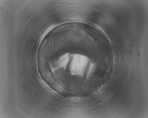 X0000055991291200509021629