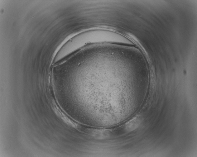 X0000055991292200509021629