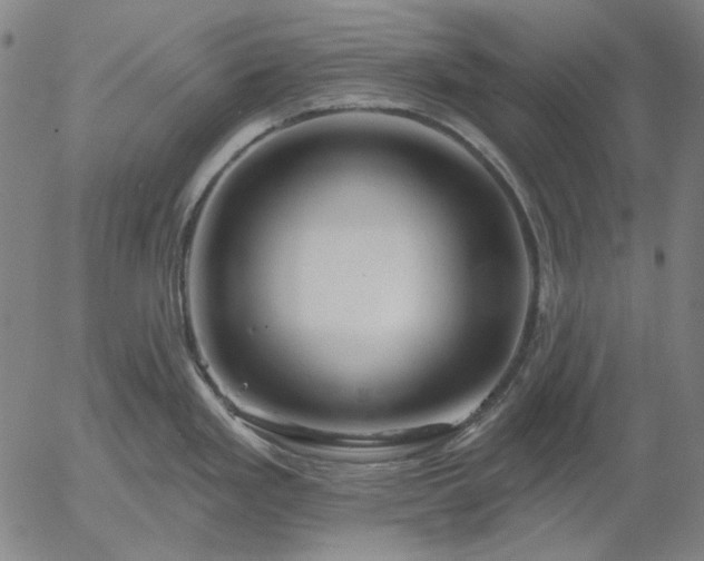 X0000055991293200509021628