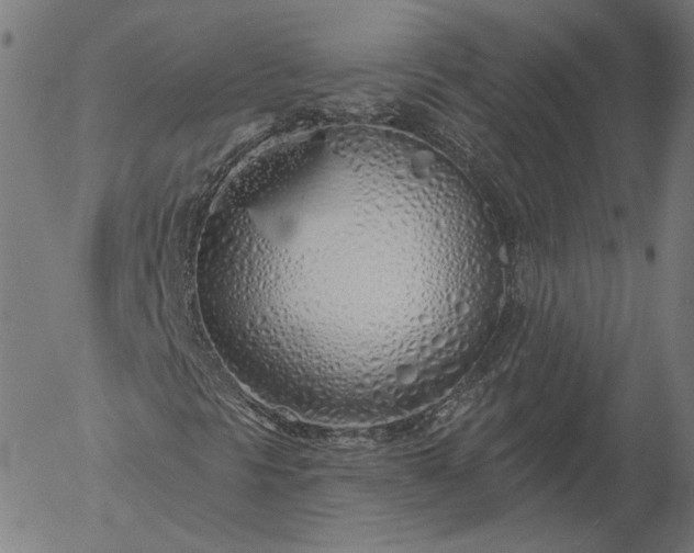 X0000055991297200509021628