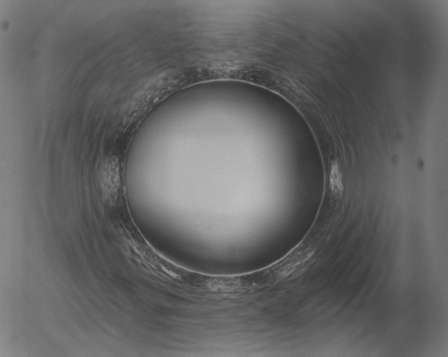 X0000055991299200509021628