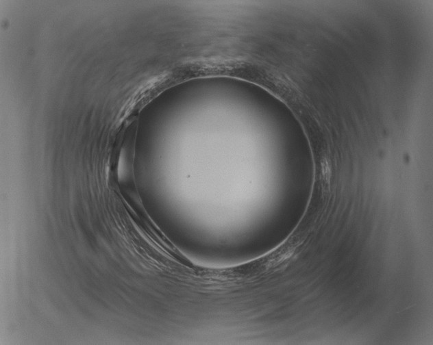 X0000055991300200509021628