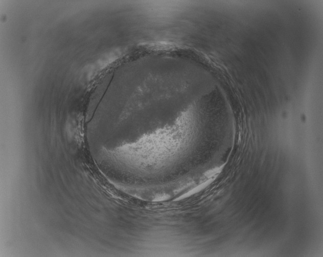 X0000055991301200509021628