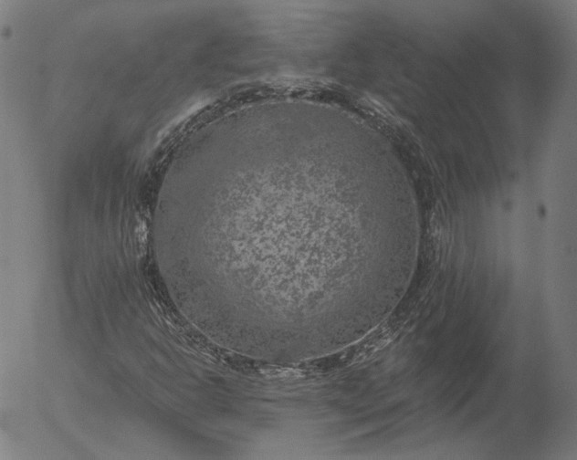 X0000055991302200509021628