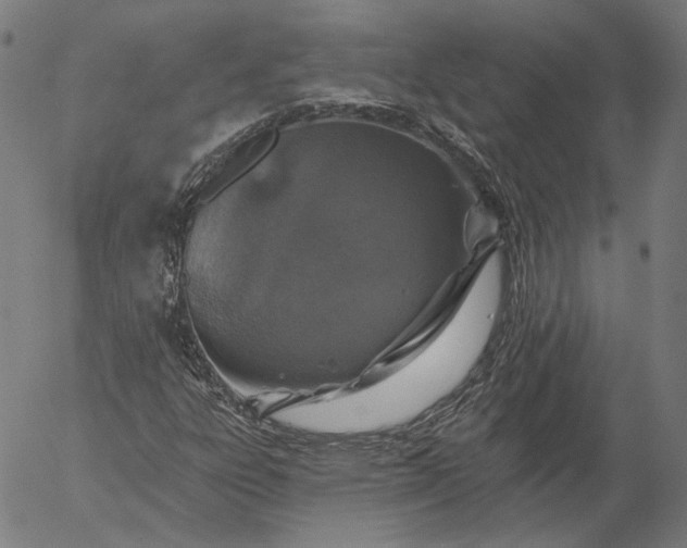 X0000055991303200509021628