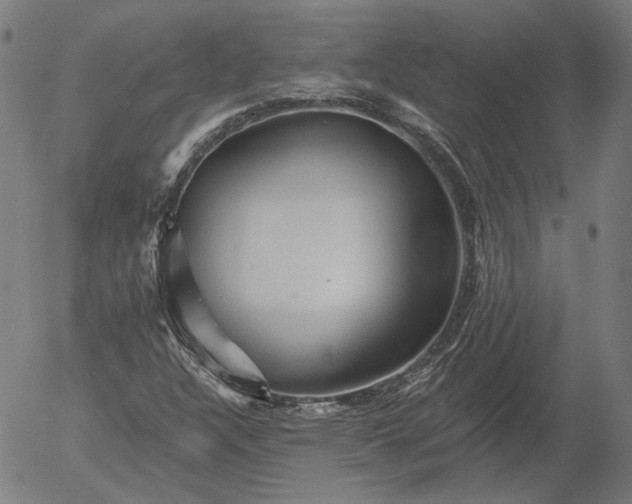 X0000055991304200509021628