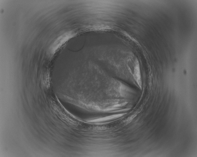 X0000055991306200509021628