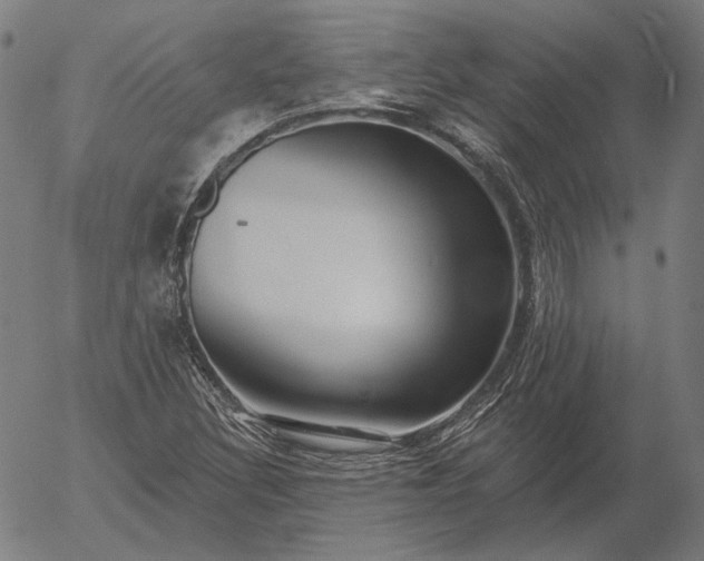 X0000055991308200509021628