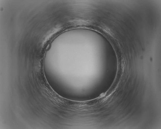 X0000055991309200509021628