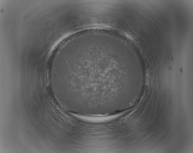 X0000055991310200509021628