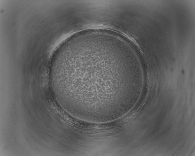 X0000055991311200509021628