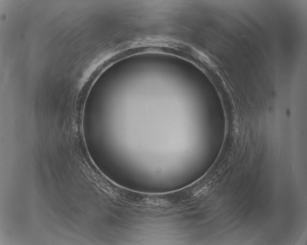 X0000055991312200509021628