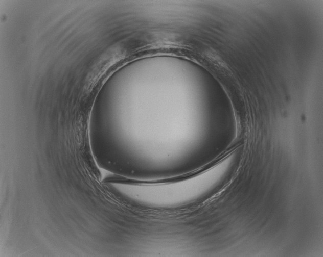 X0000055991313200509021628