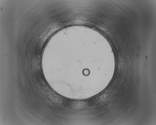 X0000055991314200509021628