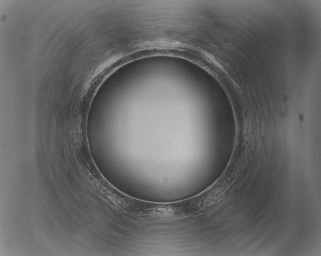 X0000055991315200509021628