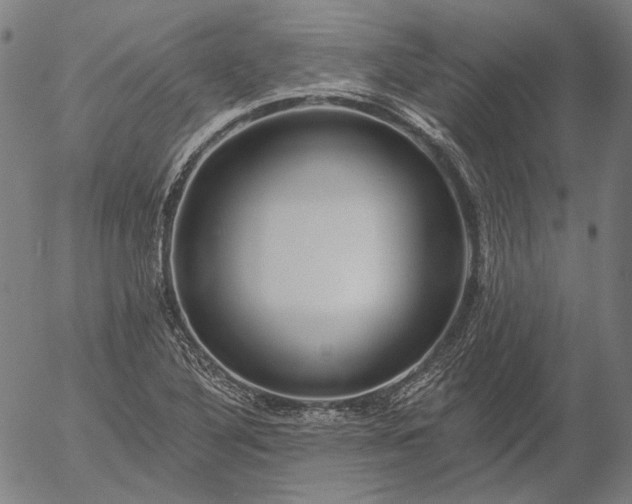 X0000055991316200509021628