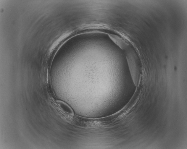 X0000055991317200509021628