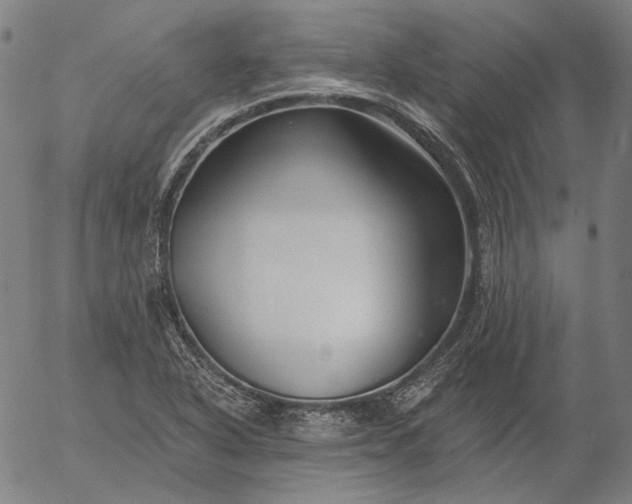 X0000055991318200509021628