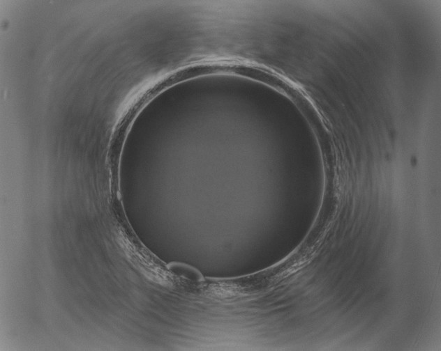 X0000055991319200509021628