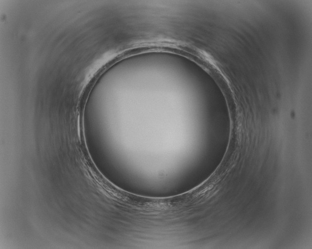 X0000055991320200509021628