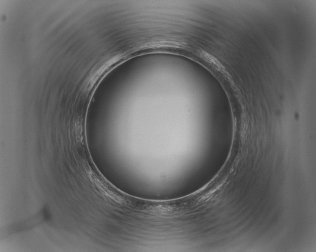 X0000055991321200509021628