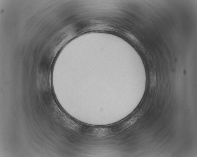 X0000055991322200509021628