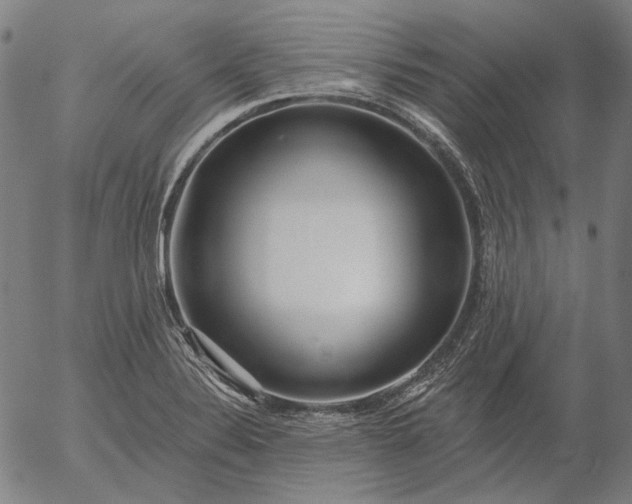 X0000055991324200509021628