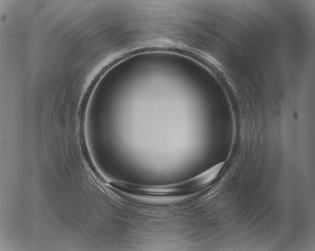 X0000055991326200509021628