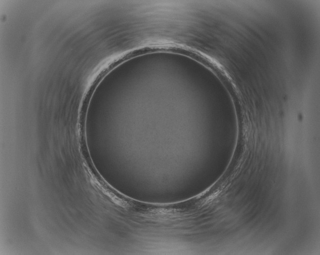 X0000055991327200509021628