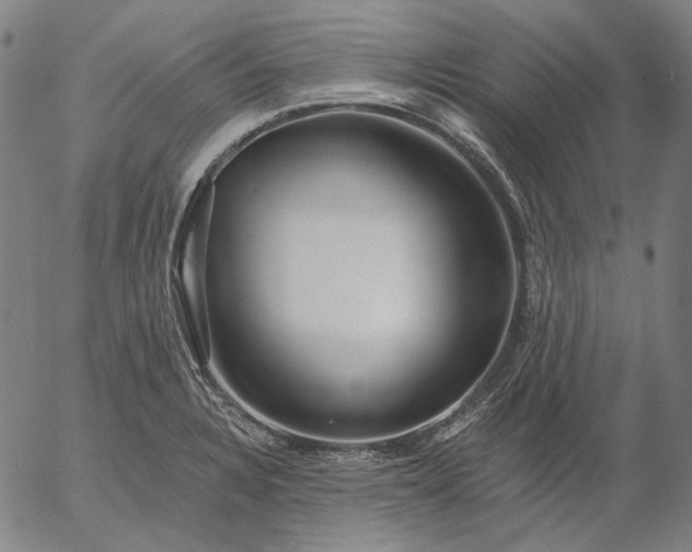 X0000055991328200509021628