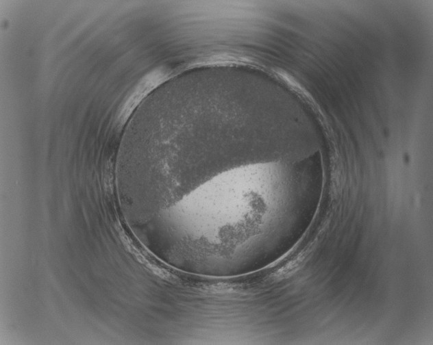 X0000055991329200509021628