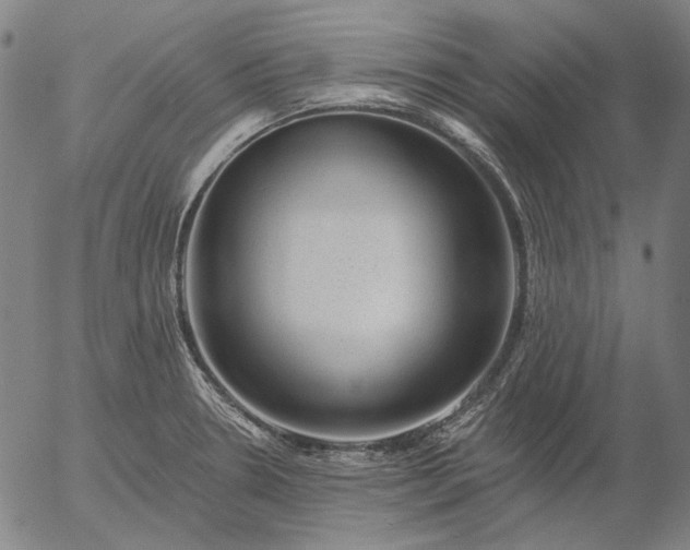 X0000055991330200509021628