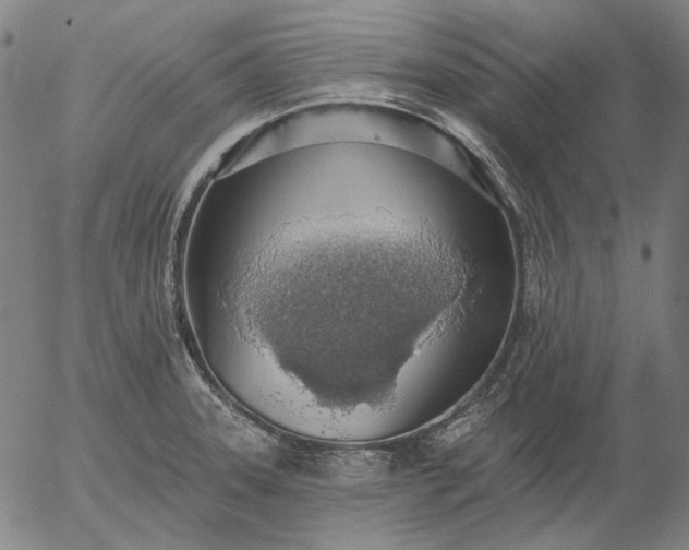 X0000055991331200509021628