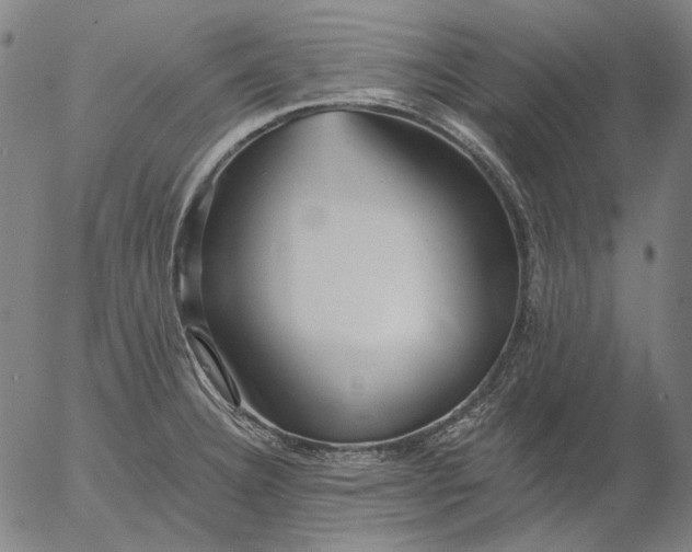 X0000055991332200509021628