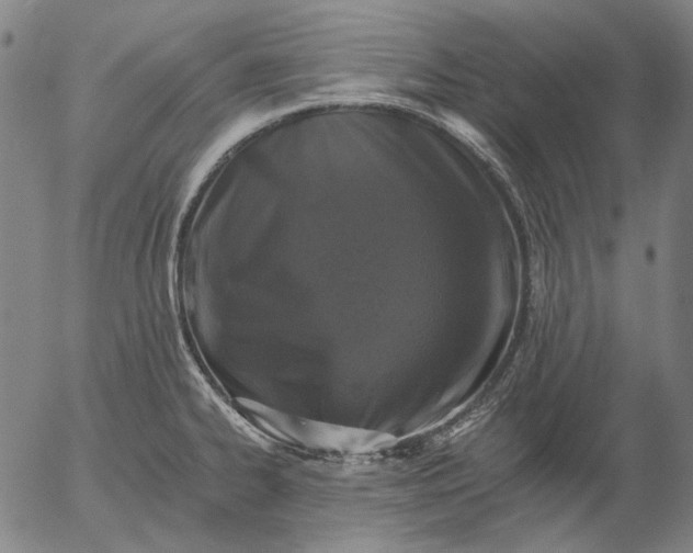 X0000055991334200509021628