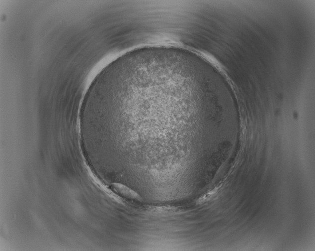 X0000055991335200509021628