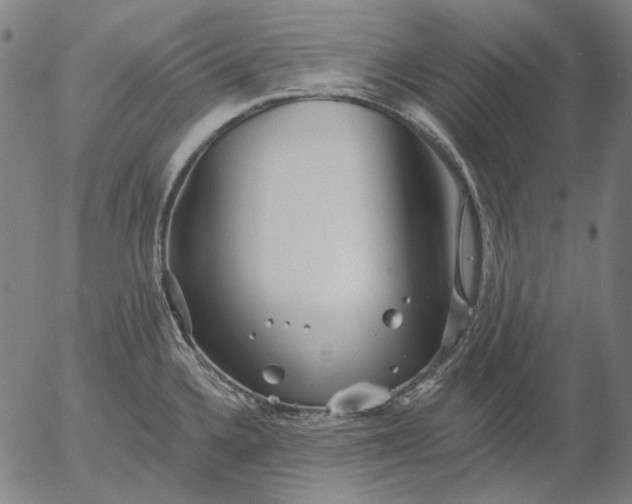 X0000055991336200509021628