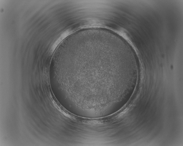 X0000055991337200509021628