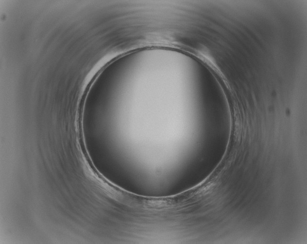 X0000055991339200509021628