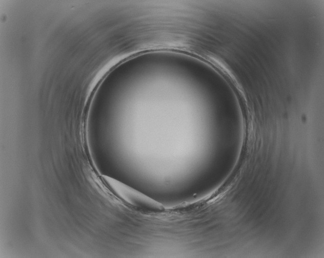 X0000055991340200509021628